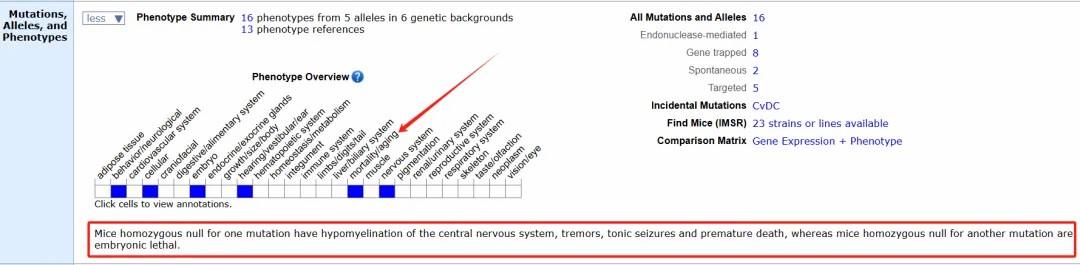 1760344894306429.jpg 1.jpg