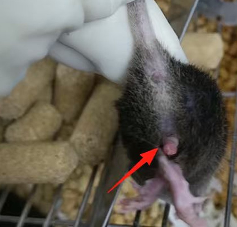 1760345188147344.jpg 9.jpg