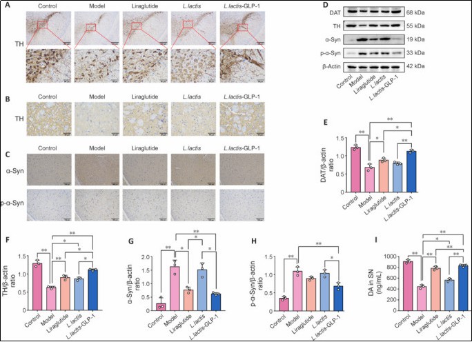 1760346910184623.jpg 3.jpg